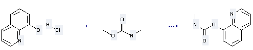 8-Quinolinol,hydrochloride can be used to produce methyl-carbamic acid-[8]quinolyl ester at the temperature of 60 °C